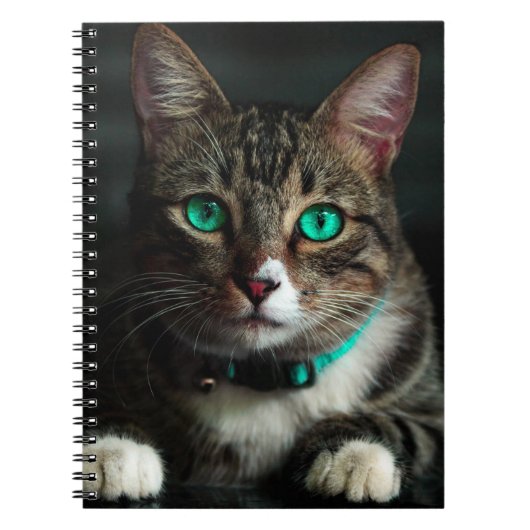 Grüne Mit Augen Katze Notizblock (Vorderseite)