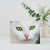 Grüne Mit Augen Katze Postkarte (Stehend Vorderseite)
