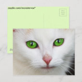Grüne Mit Augen Katze Postkarte (Vorne/Hinten)