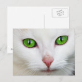 Grüne Mit Augen Katze Postkarte (Vorne/Hinten)