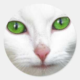Grüne Mit Augen Katze Runder Aufkleber