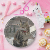 Grüne mit Augen Katzenfotografie Papiertafel Pappteller (Party)