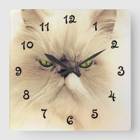 Grüne Mit Augen Perserkatze Quadratische Wanduhr (Vorderseite)
