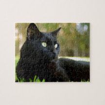 Grüne mit Augen schwarze Katze, die das Freien