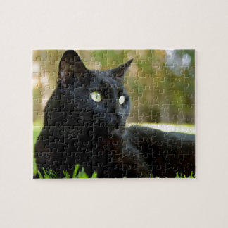 Grüne mit Augen schwarze Katze, die das Freien Puzzle