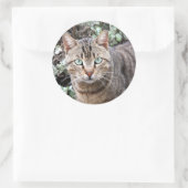 Grüne mit Augen Tabby Katze Große Aufkleber (Tasche)