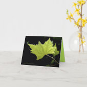 Grüne Mitteilungskarten (Gelbe Blume)