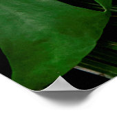 Grüne Monstera-Blätter und Blätter aus Palmen Poster (Ecke)