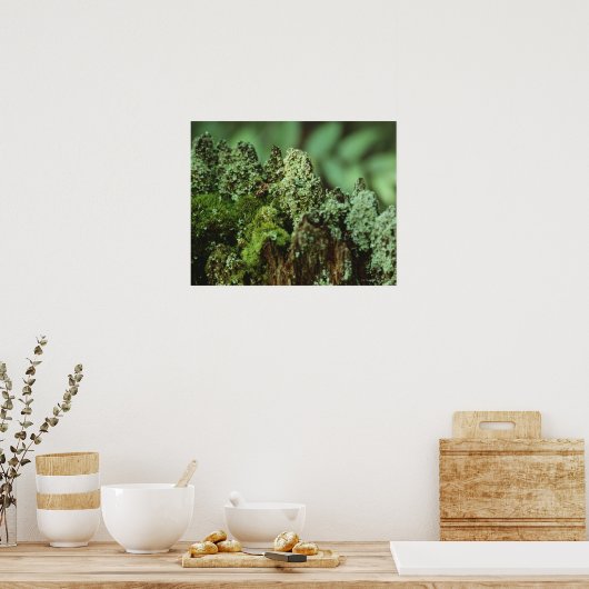 Grüne Moos Poster (Küche)
