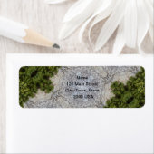 Grüne Moos und Natur Kunst (Insitu)