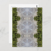 Grüne Moos und Natur Kunst Postkarte (Vorne/Hinten)