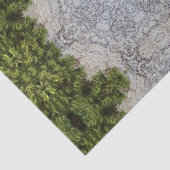 Grüne Moos und Natur Kunst Seidenpapier (Ausschnitt)