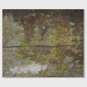 Grüne Moosstruktur und Hintergrund. abstrakt, lebe Geschenkpapier (Flach)