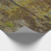 Grüne Moosstruktur und Hintergrund. abstrakt, lebe Geschenkpapier (Ecke)