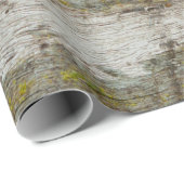 Grüne Moosstruktur und Hintergrund. abstrakt, lebe Geschenkpapier (Rolleneckpunkt)