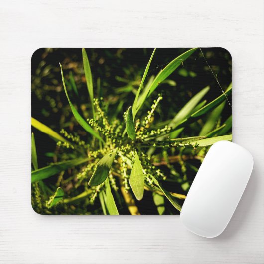 Grüne Mousepad (Mit Mouse)