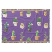 Grüne Nachspeise Sukkulente Kakteen in Pots