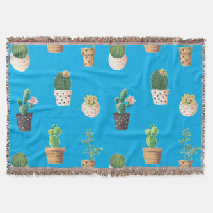 Grüne Nachspeise Sukkulente Kakteen in Pots Decke