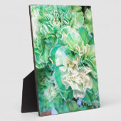 Grüne Narbe Fotoplatte (Seite)