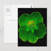 Grüne Nasturtium-Postkarte Postkarte (Vorne/Hinten)