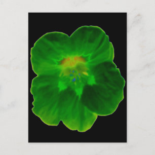 Grüne Nasturtium-Postkarte Postkarte