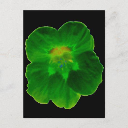 Grüne Nasturtium-Postkarte Postkarte (Vorderseite)