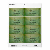 Grüne Natur (Vorne)