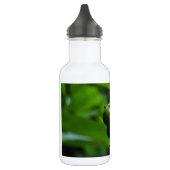 Grüne Natur Trinkflasche (Links)