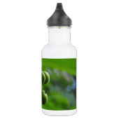 Grüne Natur Trinkflasche (Rechts)