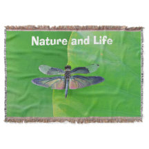 Grüne Natur und Libelle