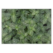 Grüne Nerven Pflanze Blätter Blütenblüte Schneidebrett (Vorderseite)