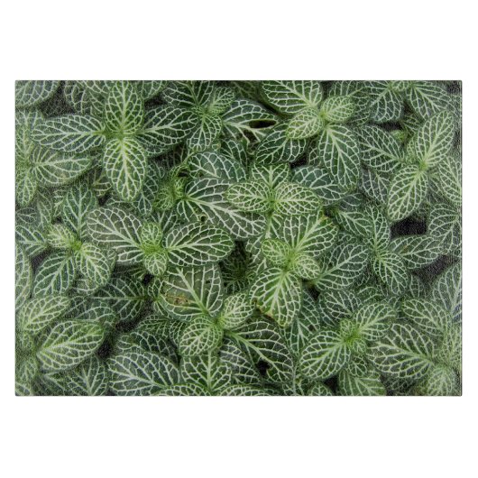 Grüne Nerven Pflanze Blätter Blütenblüte Schneidebrett (Vorderseite)