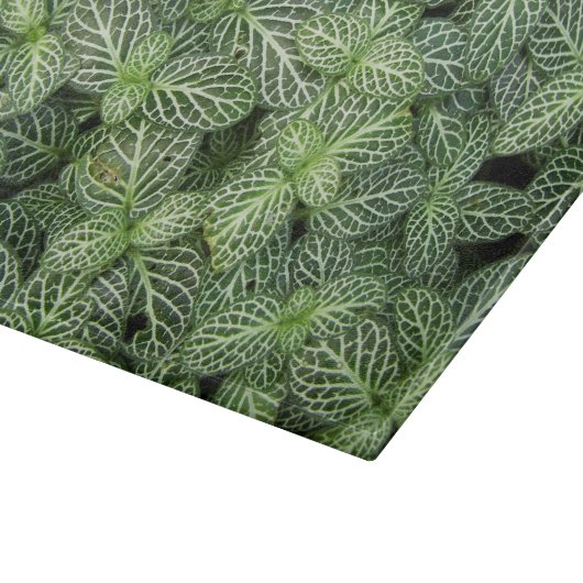 Grüne Nerven Pflanze Blätter Blütenblüte Schneidebrett (Ecke)