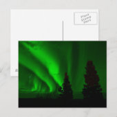 Grüne Nordlichter Postkarte (Vorne/Hinten)