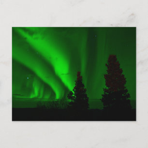 Grüne Nordlichter Postkarte