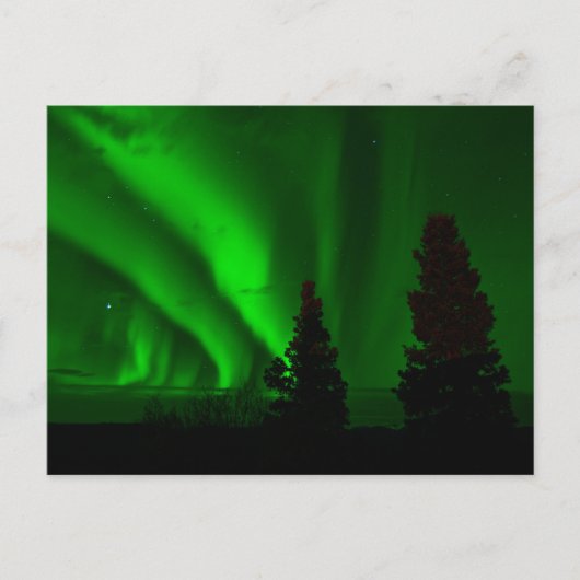 Grüne Nordlichter Postkarte (Vorderseite)