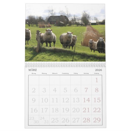 Grüne Nordseeinsel Pellworm Kalender (Mär 2026)