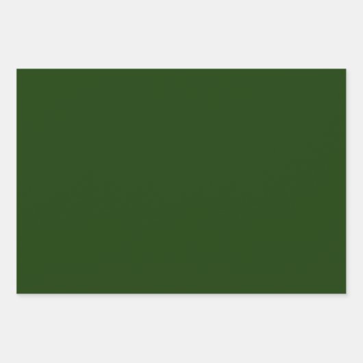 Grüne Ökologische große Geschenktasche Geschenkpapier Set (Vorderseite 3)