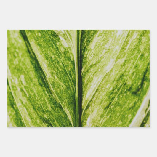 Grüne Ökologische große Geschenktasche Geschenkpapier Set (Vorderseite)