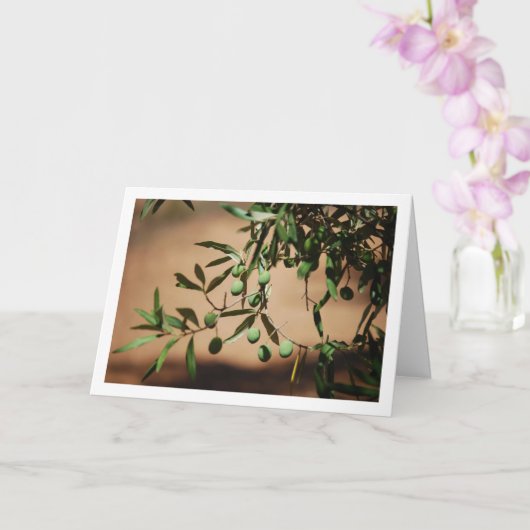 Grüne Oliven aus Olivenbaum Karte (Orchidee)