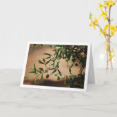 Grüne Oliven aus Olivenbaum Karte (Gelbe Blume)