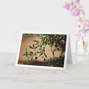 Grüne Oliven aus Olivenbaum Karte