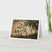 Grüne Oliven aus Olivenbaum Karte (Vorderseite)