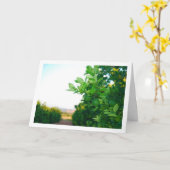 Grüne Orangen am Baum Karte (Gelbe Blume)