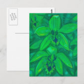 Grüne Orchidee, tropische Blume Blumenpastellfarbe Postkarte (Vorne/Hinten)