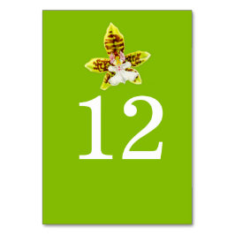 Grüne Orchideen Hochzeit Blume Tischnummer