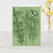 Grüne Orchideen Karte (Gelbe Blume)