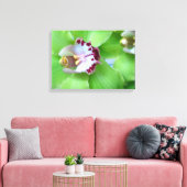 Grüne Orchideen Leinwanddruck (Insitu (Wohnzimmer))