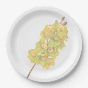 Grüne Orchideen-Papierplatten Pappteller