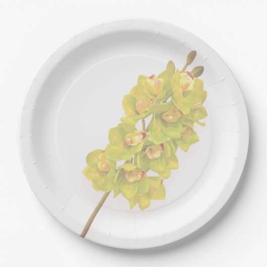 Grüne Orchideen-Papierplatten Pappteller (Vorderseite)